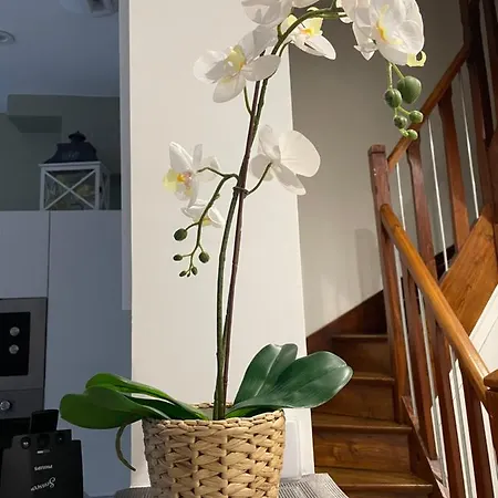 Apartamento Au Refuge De La Basilique