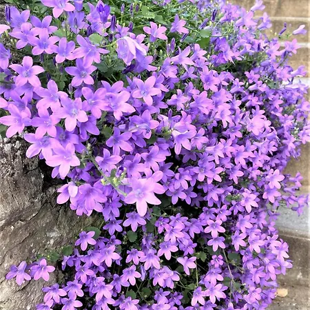 Au Refuge De La Basilique Boulogne-sur-Mer