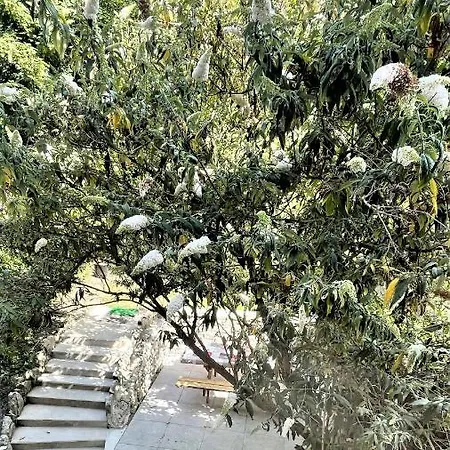 Au Refuge De La Basilique Apartmán *