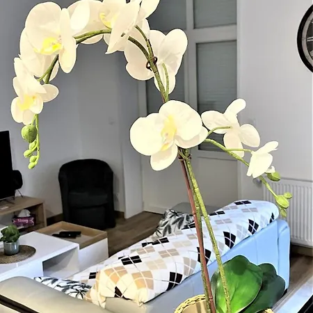 Apartmán Au Refuge De La Basilique